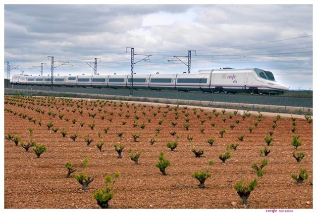  Pássaro junto às vinhas 